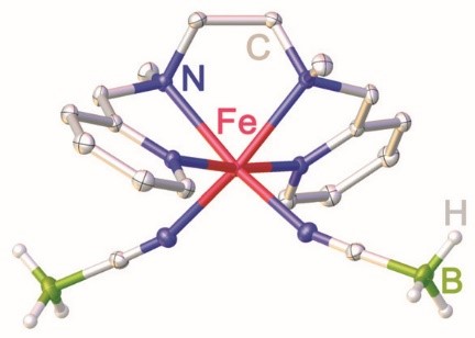 La molécule à base de Fe(II). ©Ye et al.