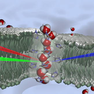 Artificial bio-inspired membranes for water filtration